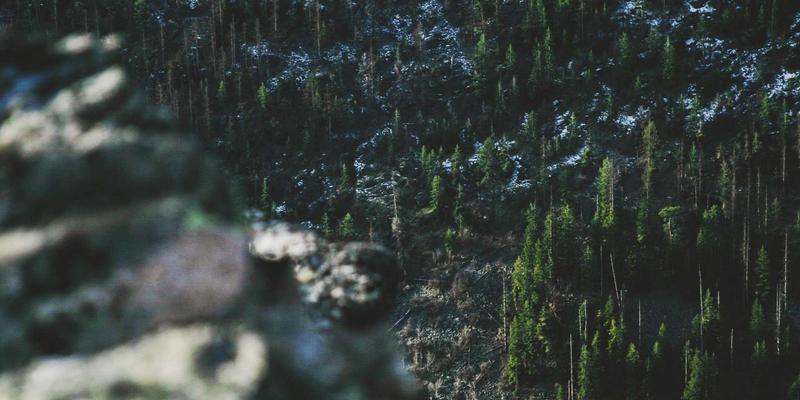 CCECBC模式引领外贸电商新浪潮：如何借力全球市场实现跨越式增长