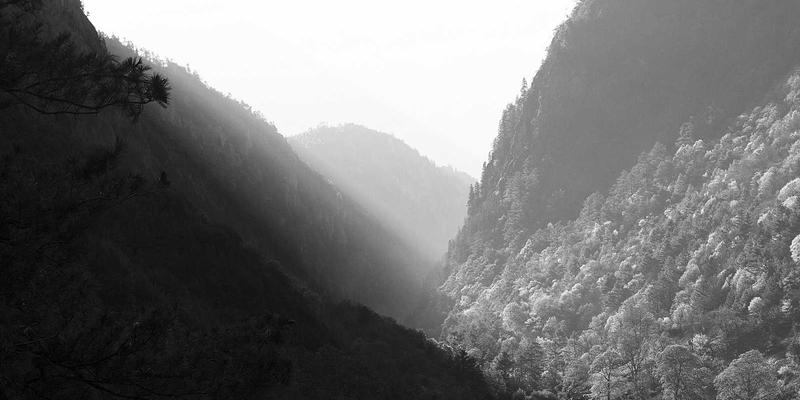 D2C品牌如何制胜数字贸易？全球市场增长黑客策略全解析 | CCECBC洞察