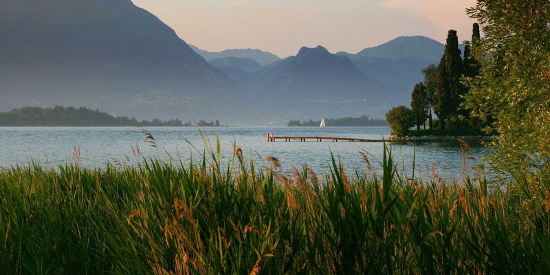 外贸电商新蓝海：直播带货的运营策略与转化漏斗深度解析