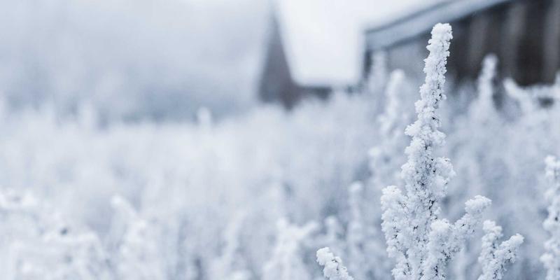 数字贸易新引擎：B2B跨境电商平台的关键功能设计与采购流程优化