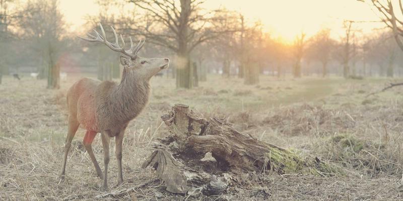 电子商务6.7时代：解码外贸电商、数字贸易与CCECBC的融合新范式