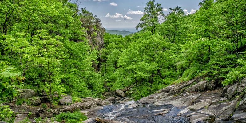 电子商务仓储智能化升级：AGV机器人、物联网与WMS集成如何重塑数字贸易