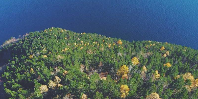 电子商务攻略：从国内到跨境，CCECBC模式引领新增长